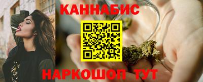 Альфа ПВП Гатчина