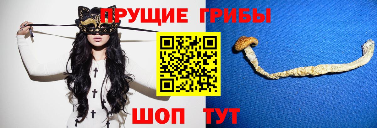 Псилоцибиновые грибы ЛСД  Вход с VPN  Кушва  Галлюциногенные грибы мицелий 